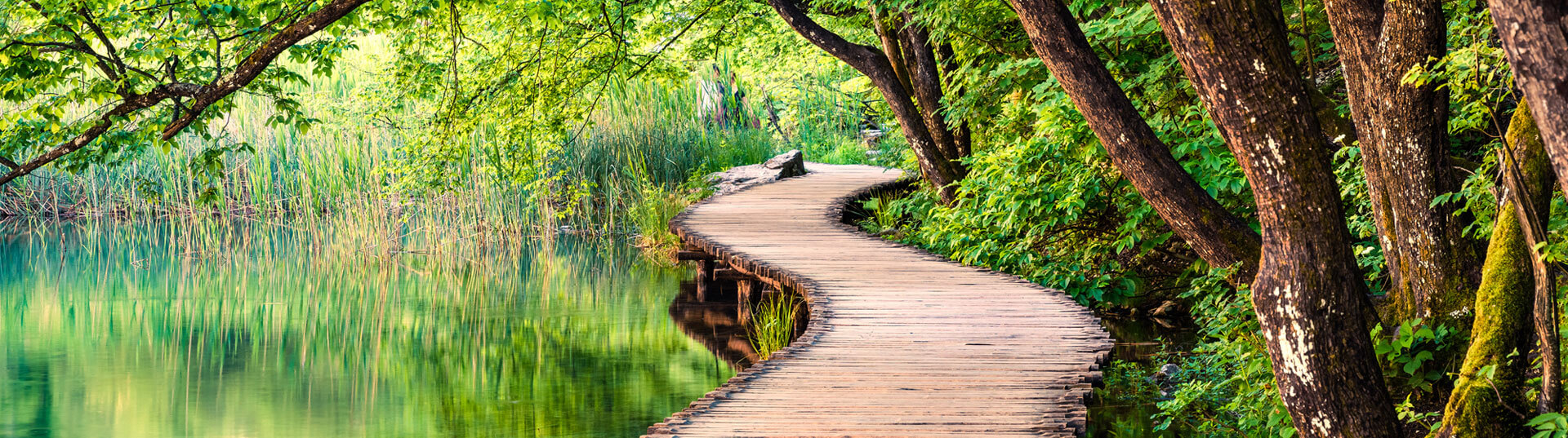 Slide photo water/pond boardwalk